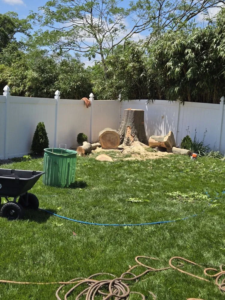 Trusted lawn mowing service in Delran, NJ - Hyperion Tree Service