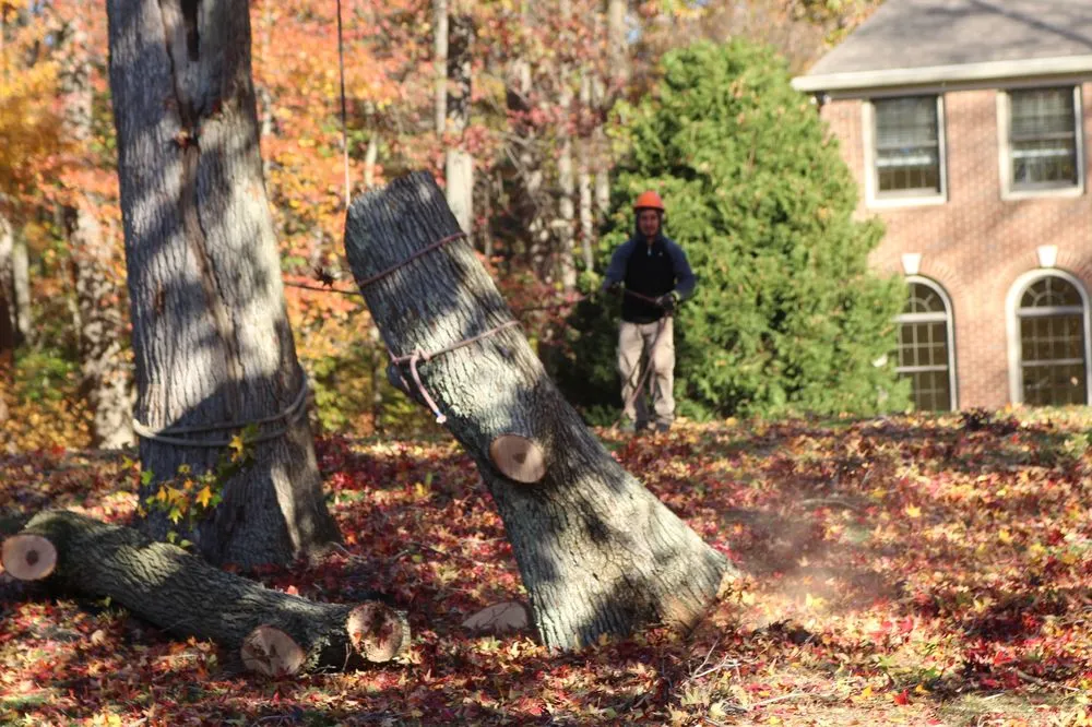 Expert lawn mowing service experts serving Delran, NJ - Hyperion Tree Service