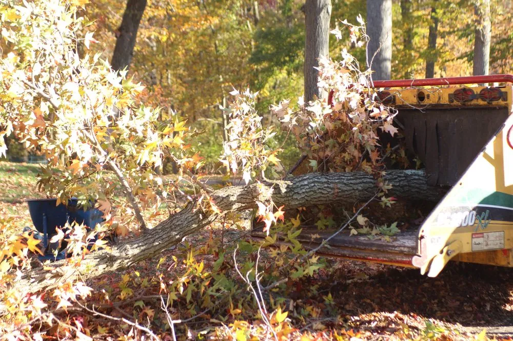 Reliable landscape installation for year-round maintenance across Delran, NJ - Hyperion Tree Service