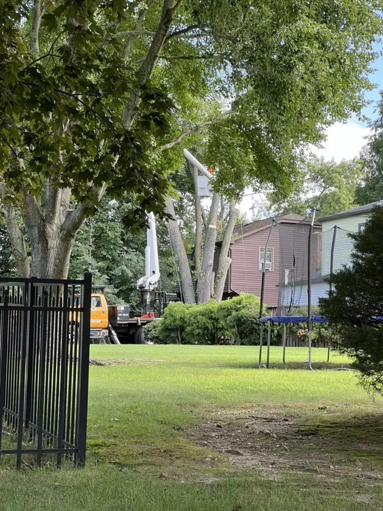 Affordable garden landscaping in Delran, NJ - Hyperion Tree Service