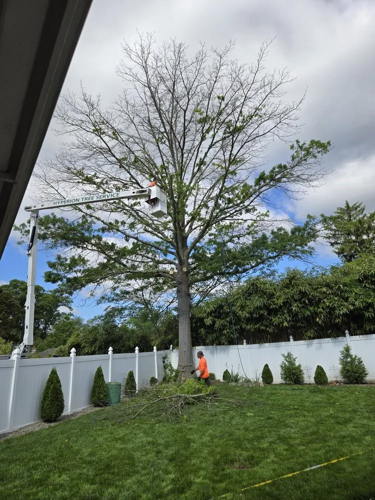 Reliable yard maintenance for beautiful yards in Delran, NJ by Hyperion Tree Service