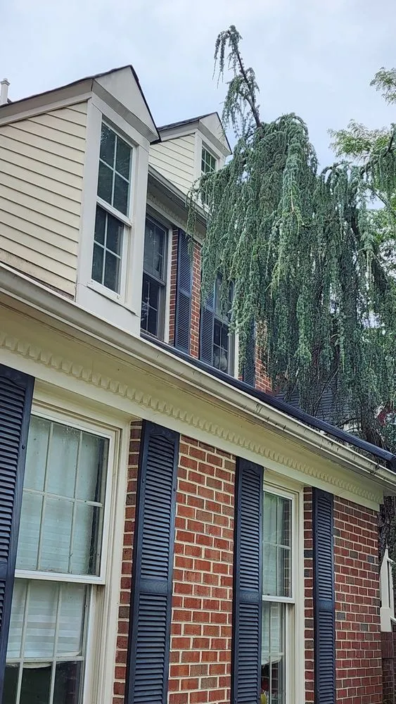 Expert yard cleanup service for outdoor upgrades in Delran, NJ by Hyperion Tree Service