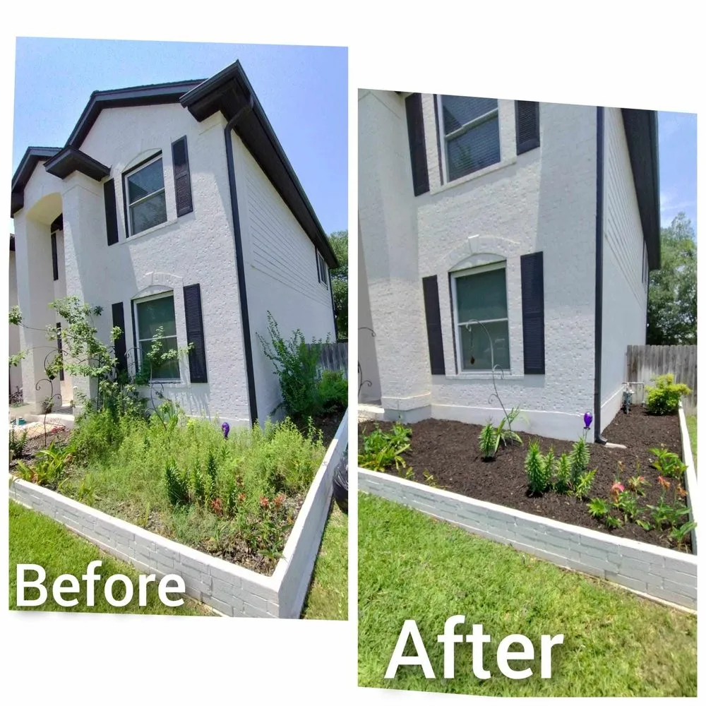 Reliable lawn care service in Cedar Park, TX by I & C Multi Services