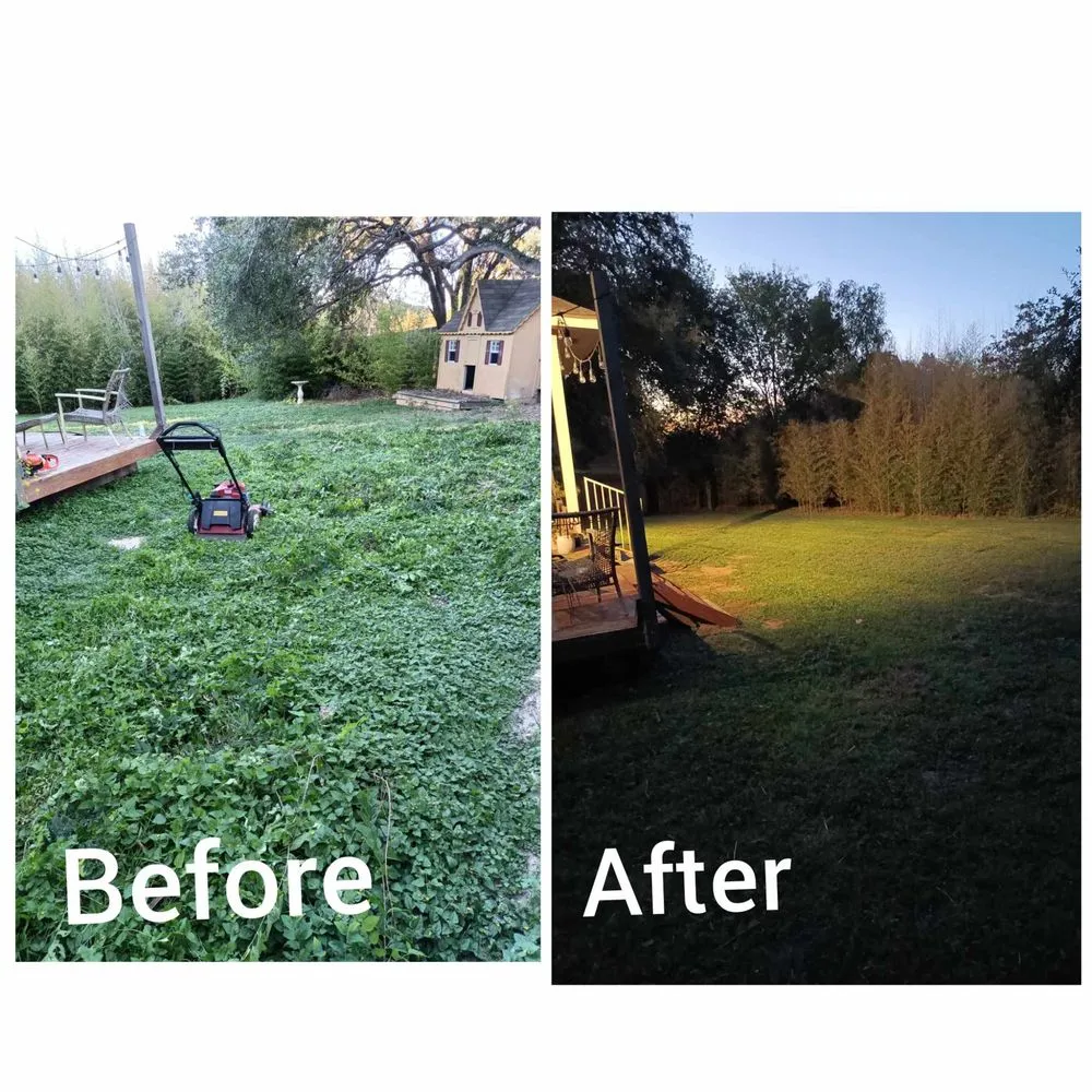 Affordable residential landscaping in Cedar Park, TX - I & C Multi Services