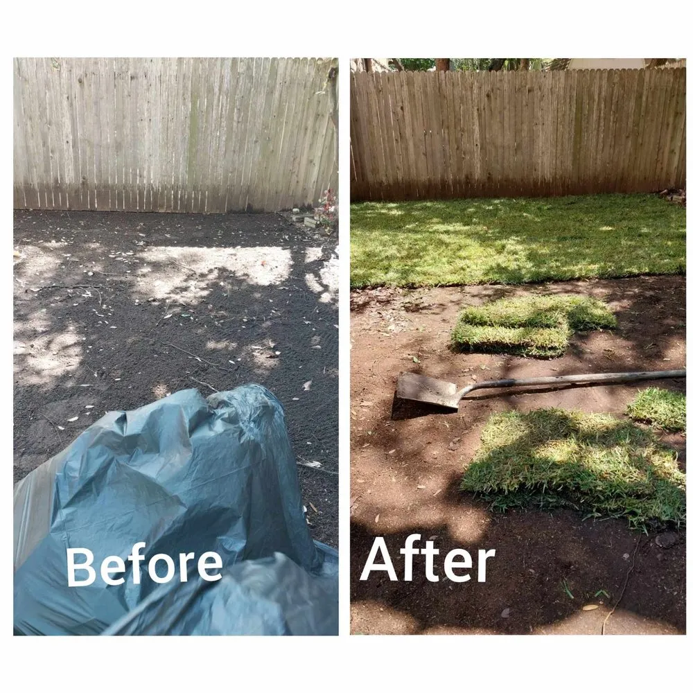 Affordable outdoor landscaping for year-round maintenance in Cedar Park, TX by I & C Multi Services