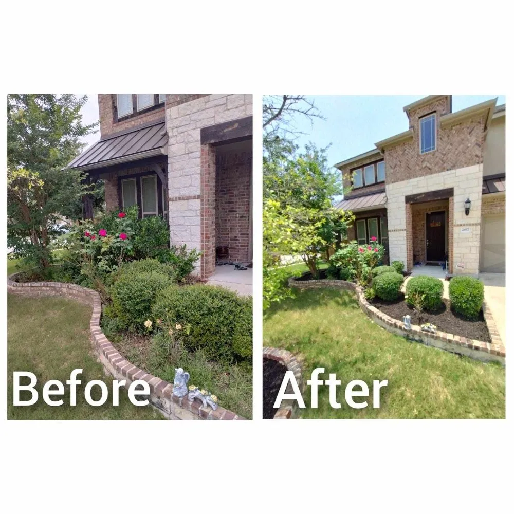 Local landscaping services experts serving Cedar Park, TX - I & C Multi Services