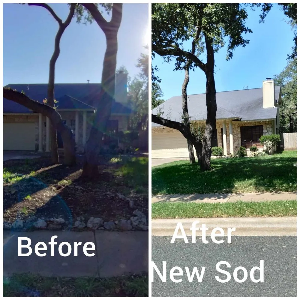 Top-rated outdoor landscaping in Cedar Park, TX by I & C Multi Services