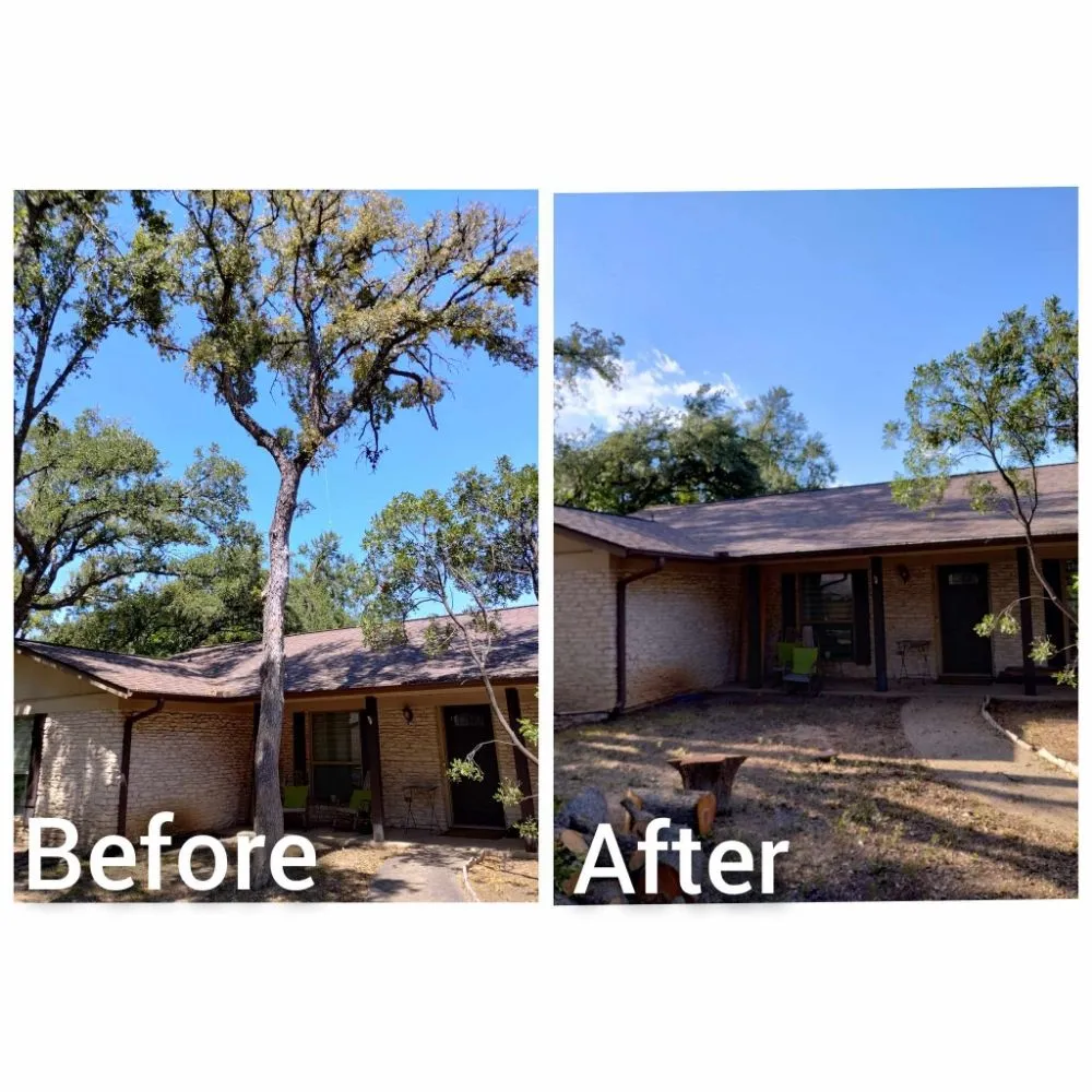 Trusted garden landscaping for year-round maintenance in Cedar Park, TX by I & C Multi Services