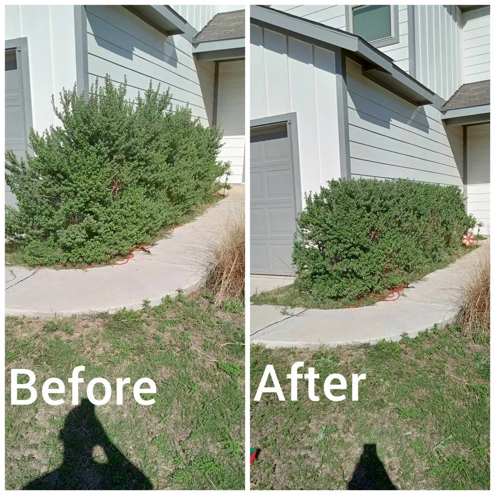 Reliable lawn mowing service with custom design in Cedar Park, TX by I & C Multi Services