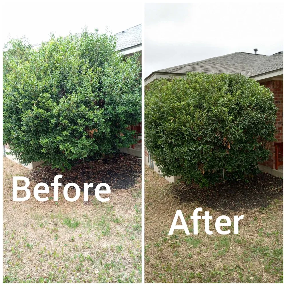 Custom outdoor landscaping in Cedar Park, TX - I & C Multi Services
