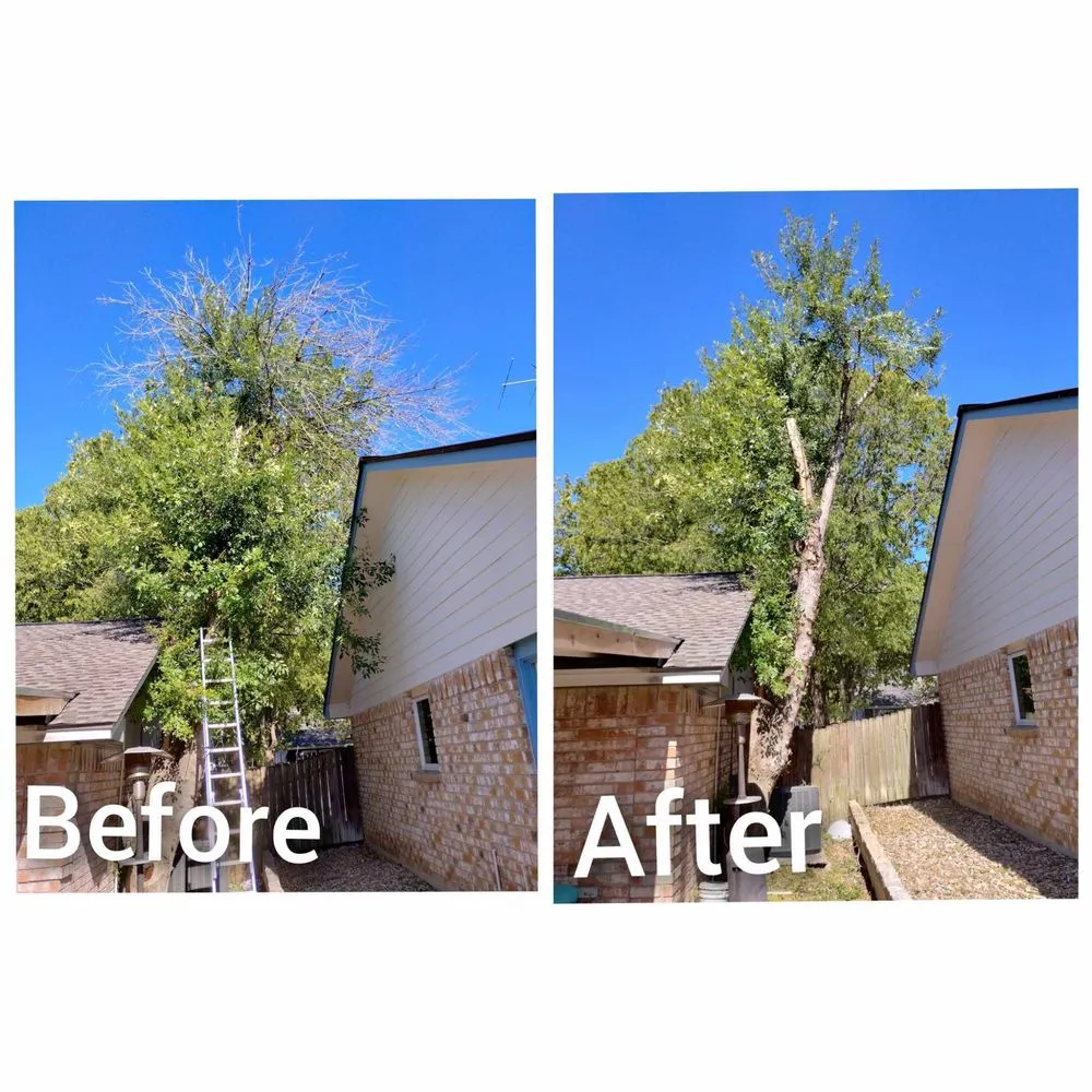 Professional landscape design in Cedar Park, TX - I & C Multi Services