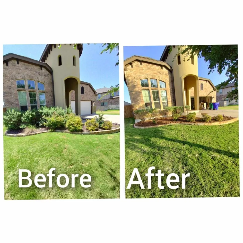 Expert landscaping services for outdoor upgrades across Cedar Park, TX - I & C Multi Services