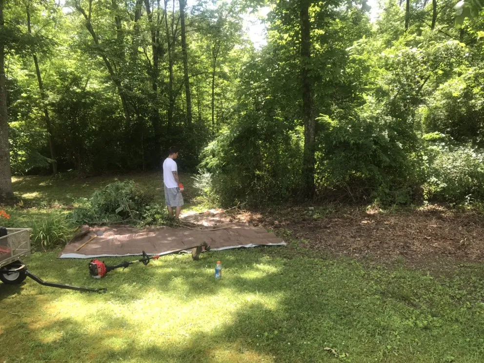 Professional lawn care service near you in Crossville, TN by I & G Handyman Services