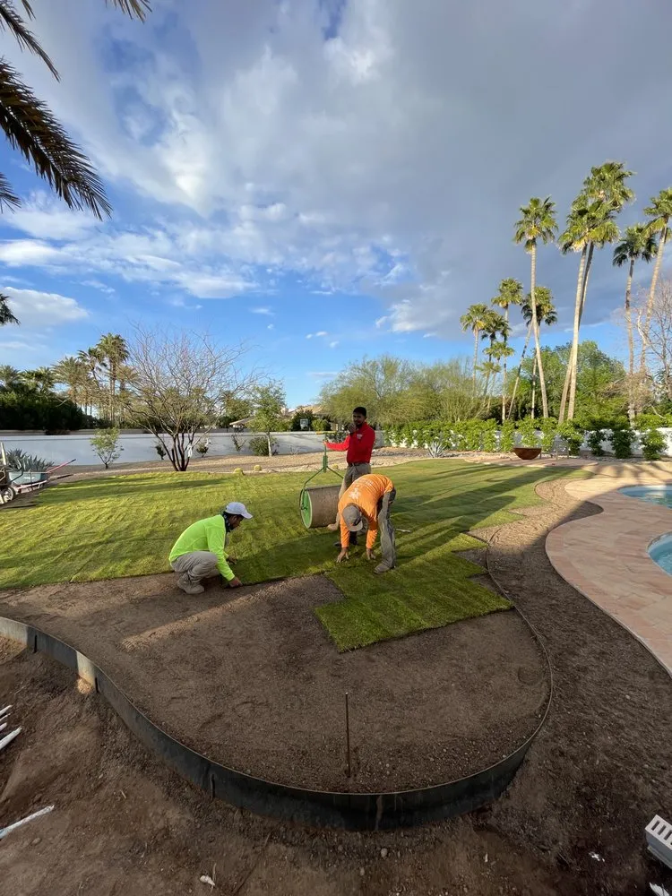 Local lawn care service for homes across Phoenix, AZ - I & I Landscaping