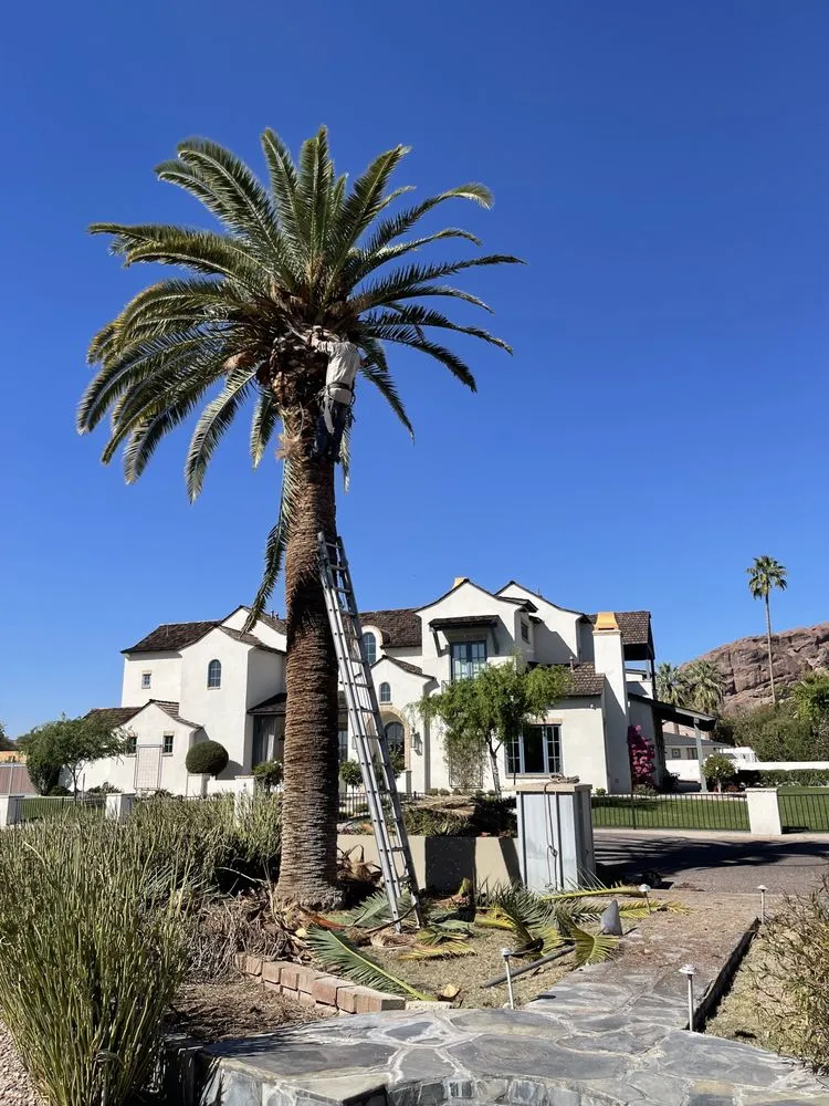 Reliable landscape installation in Phoenix, AZ by I & I Landscaping