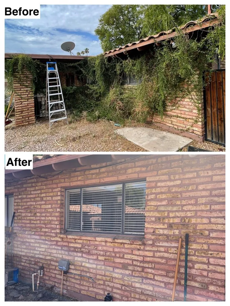 Reliable lawn care service for outdoor upgrades across Phoenix, AZ - I & I Landscaping