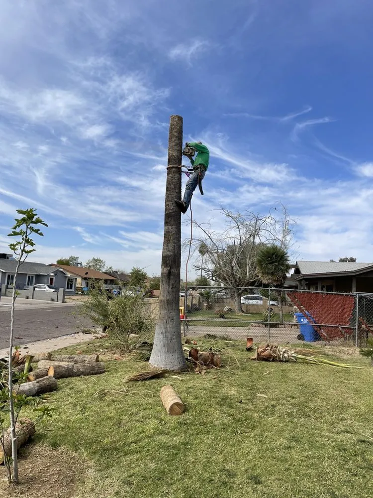 Affordable landscape installation in Phoenix, AZ - I & I Landscaping