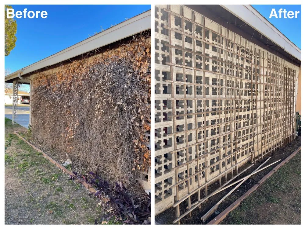 Local outdoor landscaping for beautiful yards across Phoenix, AZ - I & I Landscaping