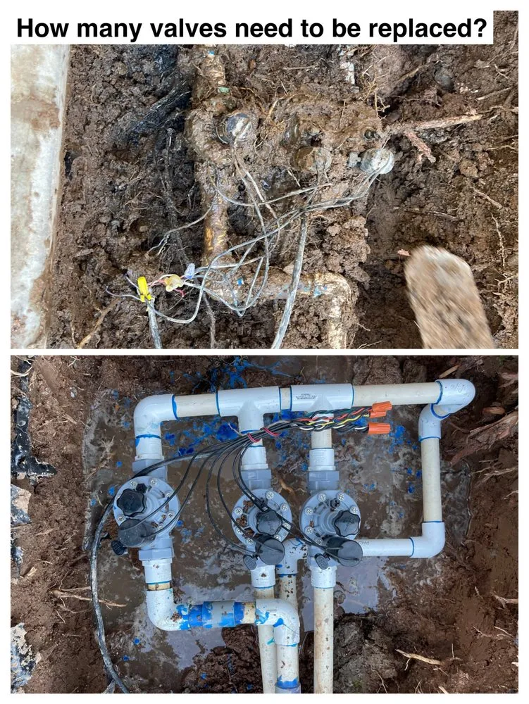 Affordable landscape design for outdoor upgrades in Phoenix, AZ by I & I Landscaping