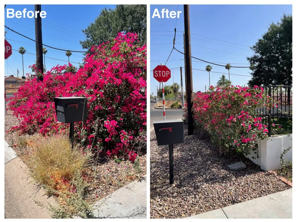 Expert landscaping services in Phoenix, AZ by I & I Landscaping