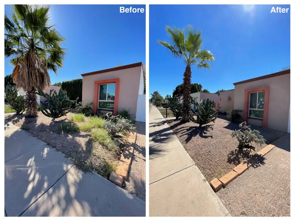 Trusted landscape installation for homes in Phoenix, AZ by I & I Landscaping