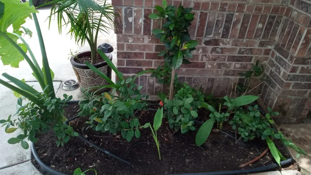 Affordable landscaping services for homes in Edinburg, TX by I & M Construction