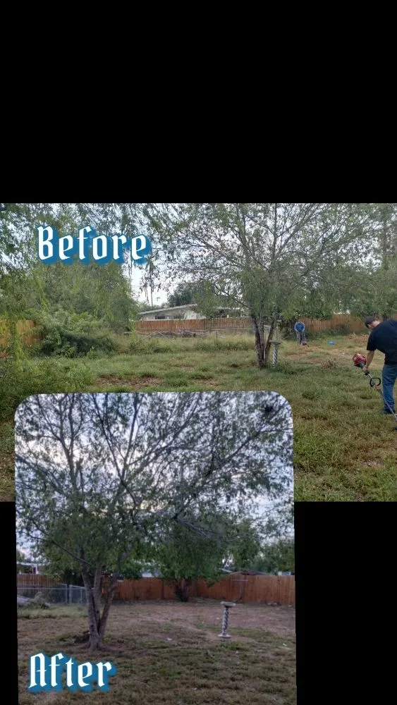 Affordable outdoor landscaping in Edinburg, TX by I & M Construction