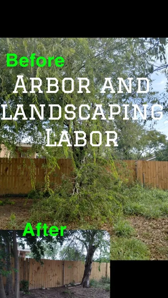 Expert lawn mowing service experts serving Edinburg, TX - I & M Construction
