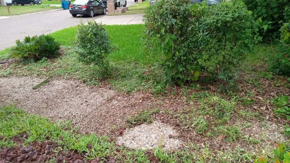 Affordable residential landscaping with custom design across Edinburg, TX - I & M Construction