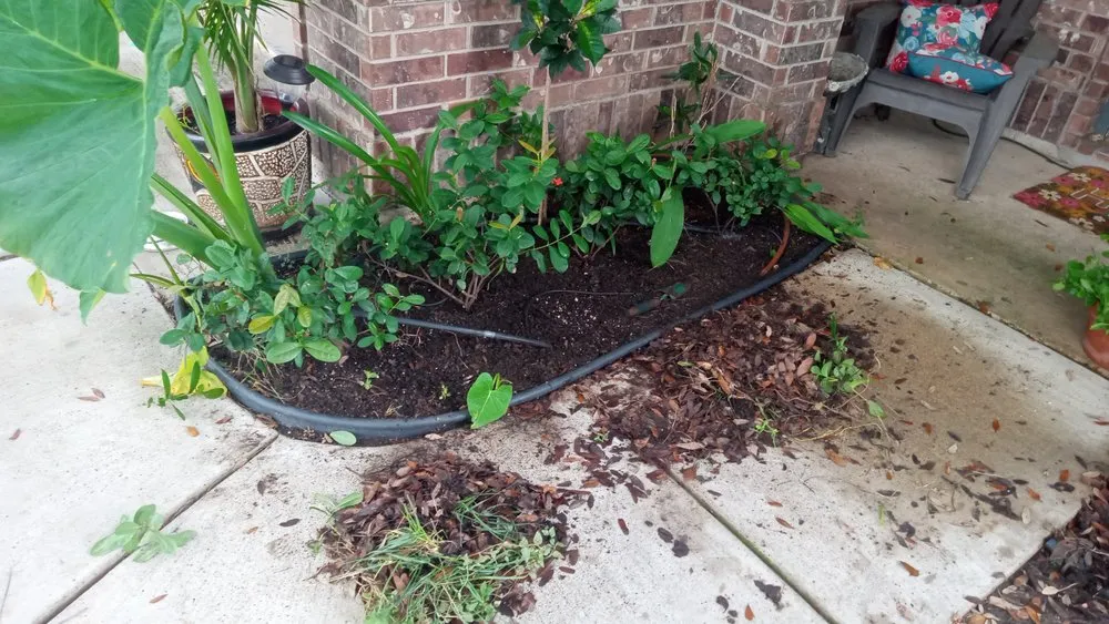 Reliable yard maintenance in Edinburg, TX - I & M Construction