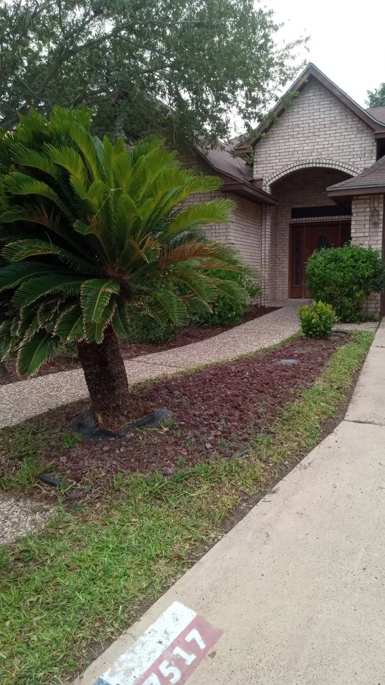 Custom yard maintenance in Edinburg, TX by I & M Construction