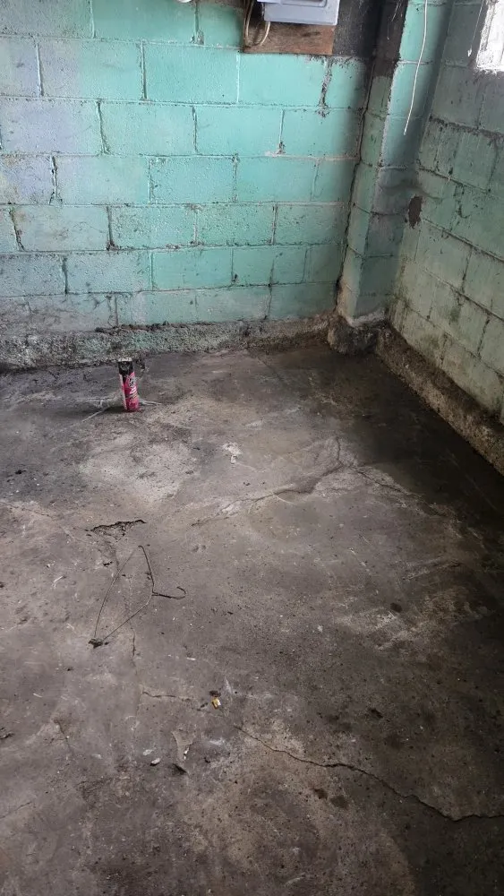 Local landscape design in Upper Arlington, OH - I & M Transport