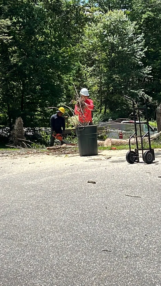 Custom yard cleanup service experts serving New Milford, CT - I & N Tree And Landscaping