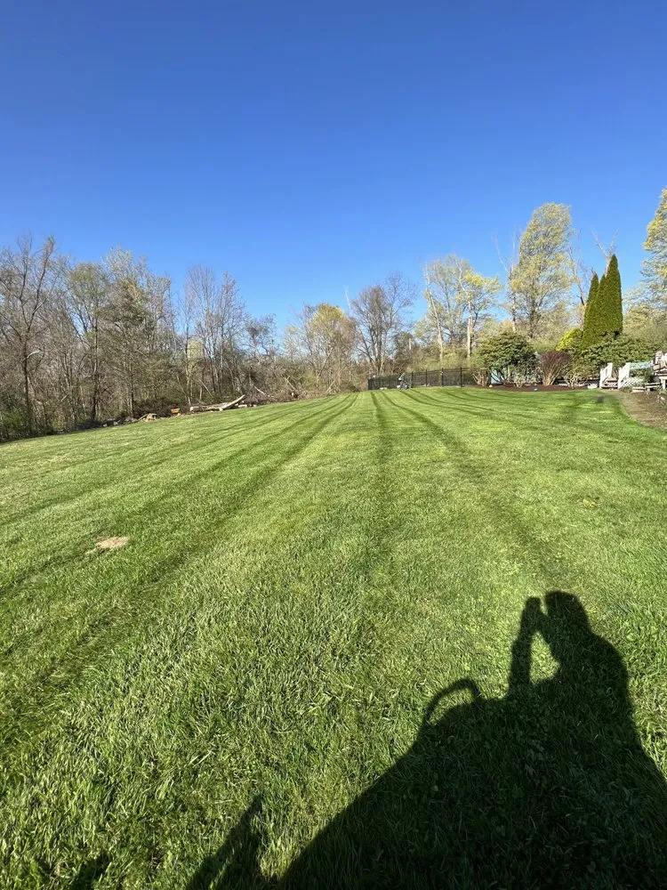 Local yard cleanup service for year-round maintenance across New Milford, CT - I & N Tree And Landscaping