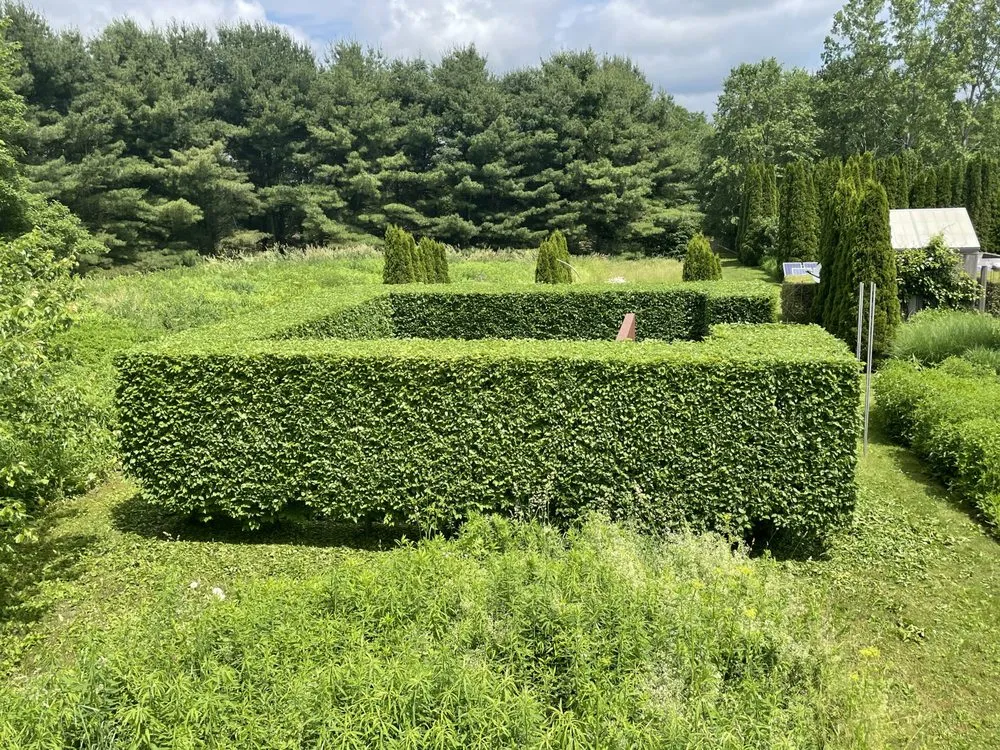 Affordable lawn mowing service in New Milford, CT by I & N Tree And Landscaping