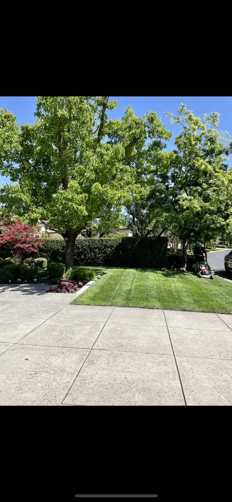 Affordable landscape design experts serving Stockton, CA - I & R Lawn Services