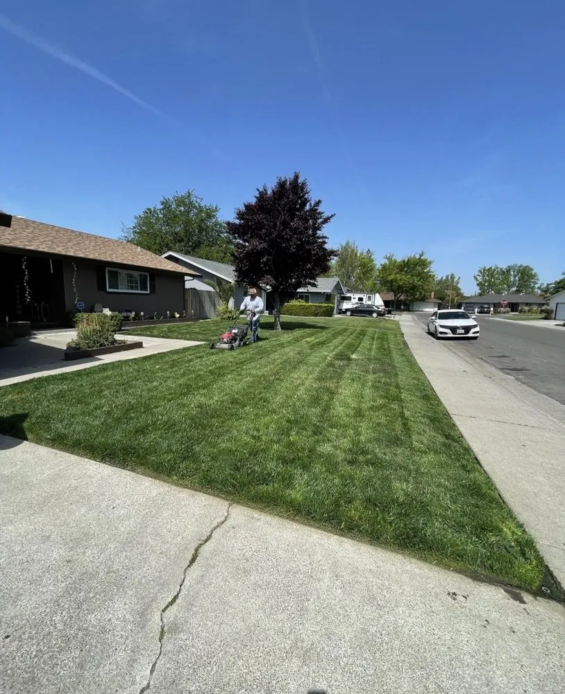 Reliable outdoor landscaping for outdoor upgrades across Stockton, CA - I & R Lawn Services