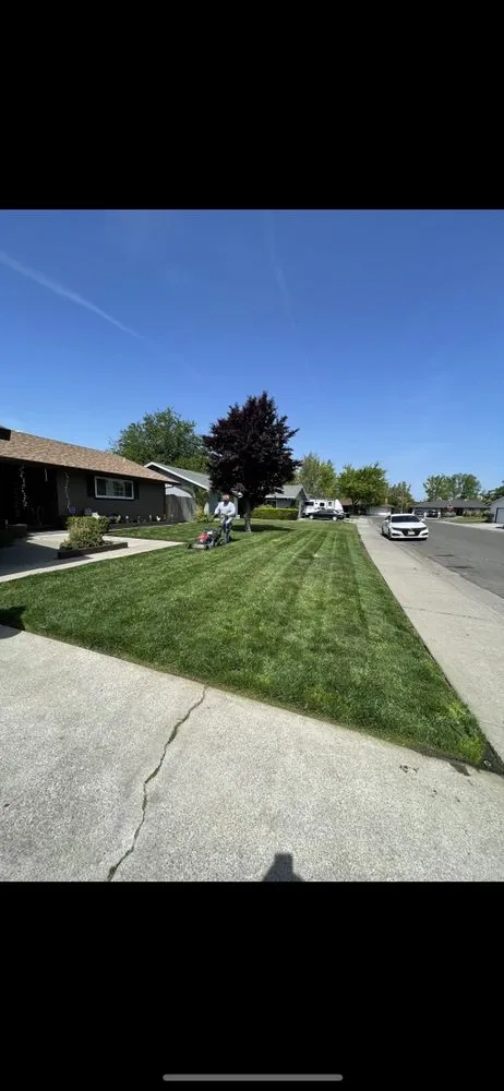 Affordable landscape installation for year-round maintenance across Stockton, CA - I & R Lawn Services