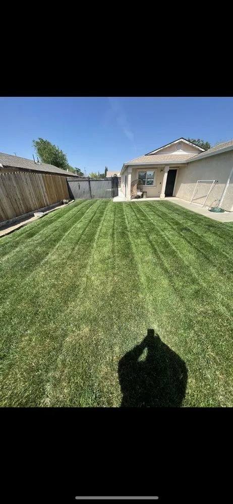 Local lawn care service for residential properties across Stockton, CA - I & R Lawn Services