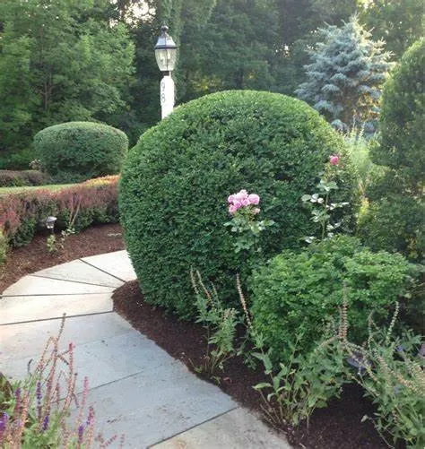 Local yard cleanup service in Bethel, CT - I & Z Landscaping Corp