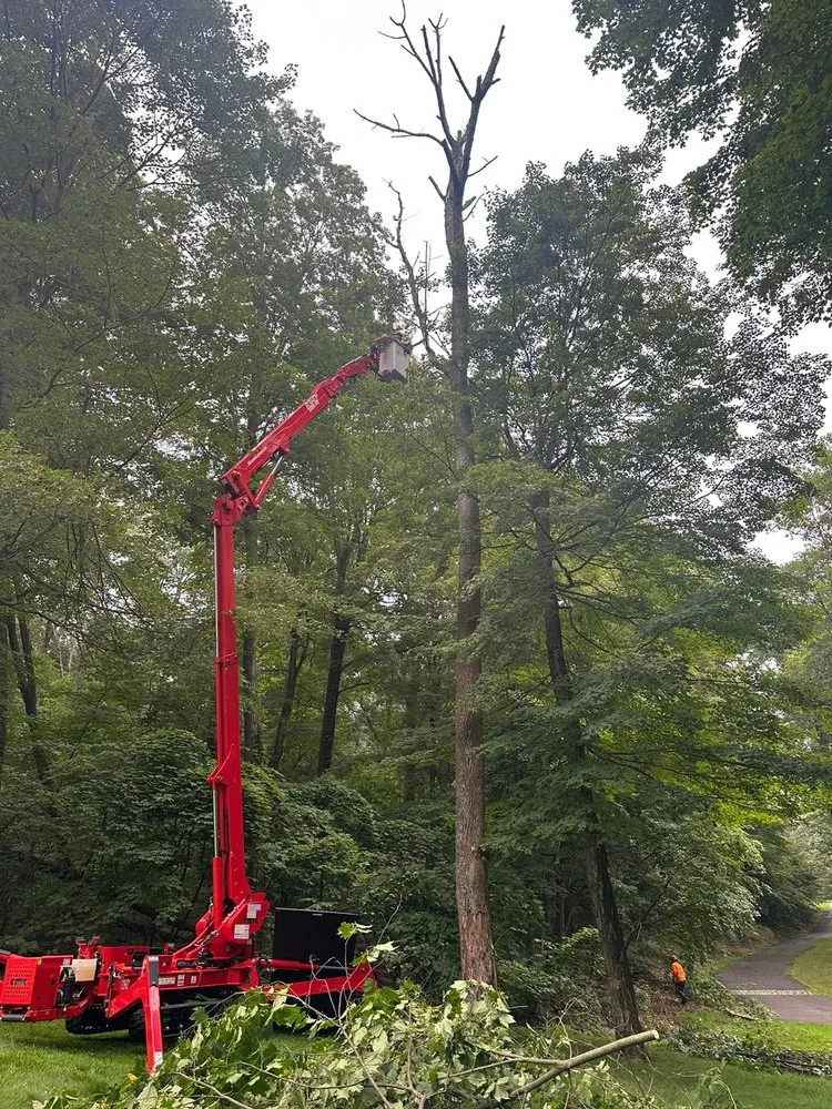 Reliable garden landscaping for homes across Bethel, CT - I & Z Landscaping Corp