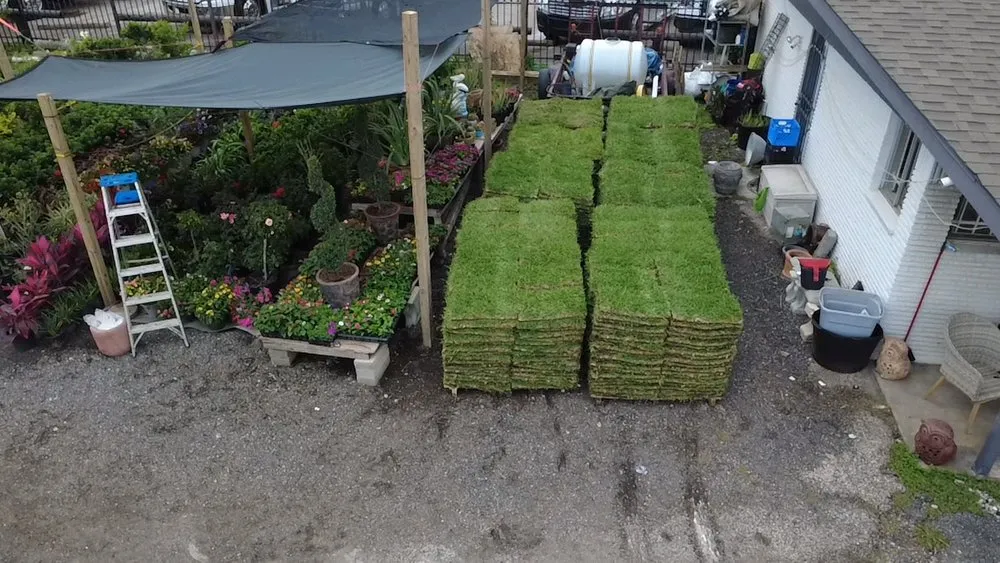 Top-rated lawn care service experts serving Houston, TX - I 10 Landscaping and More