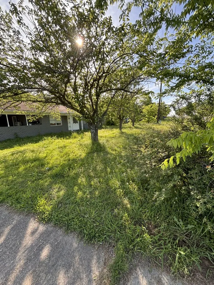 Affordable landscape design in Como, TX by I-A-J Lawn Cutz