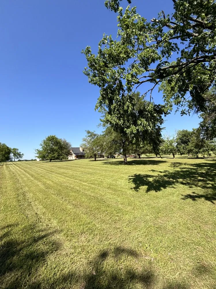 Expert yard cleanup service experts serving Como, TX - I-A-J Lawn Cutz