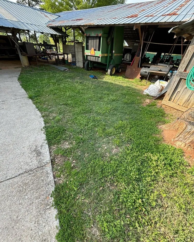 Reliable lawn care service in Como, TX - I-A-J Lawn Cutz