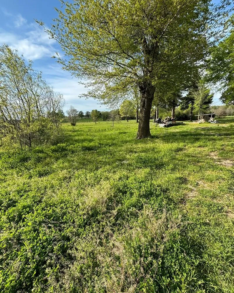 Expert landscaping services with custom design in Como, TX by I-A-J Lawn Cutz