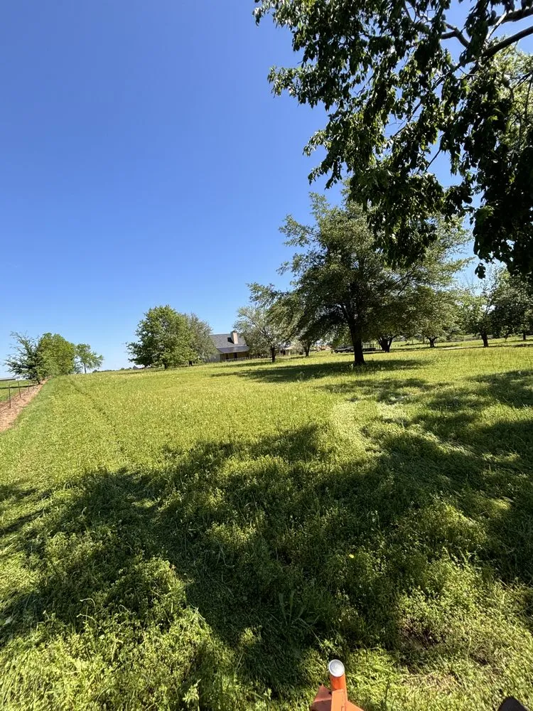 Professional garden landscaping experts serving Como, TX - I-A-J Lawn Cutz