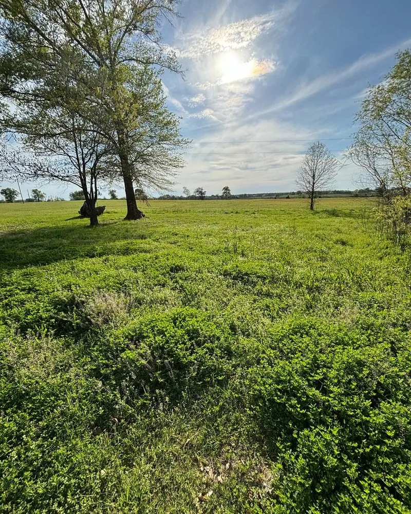 Top-rated landscape design for outdoor upgrades in Como, TX by I-A-J Lawn Cutz