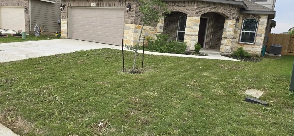 Local landscaping services experts serving Seguin, TX - I Am Mowing