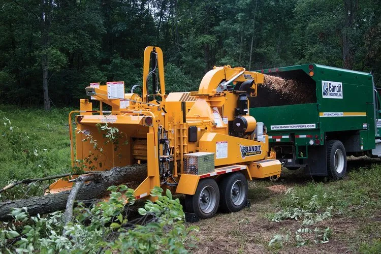 Affordable yard cleanup service for homes across Bothell, WA - I Am The Guy Services